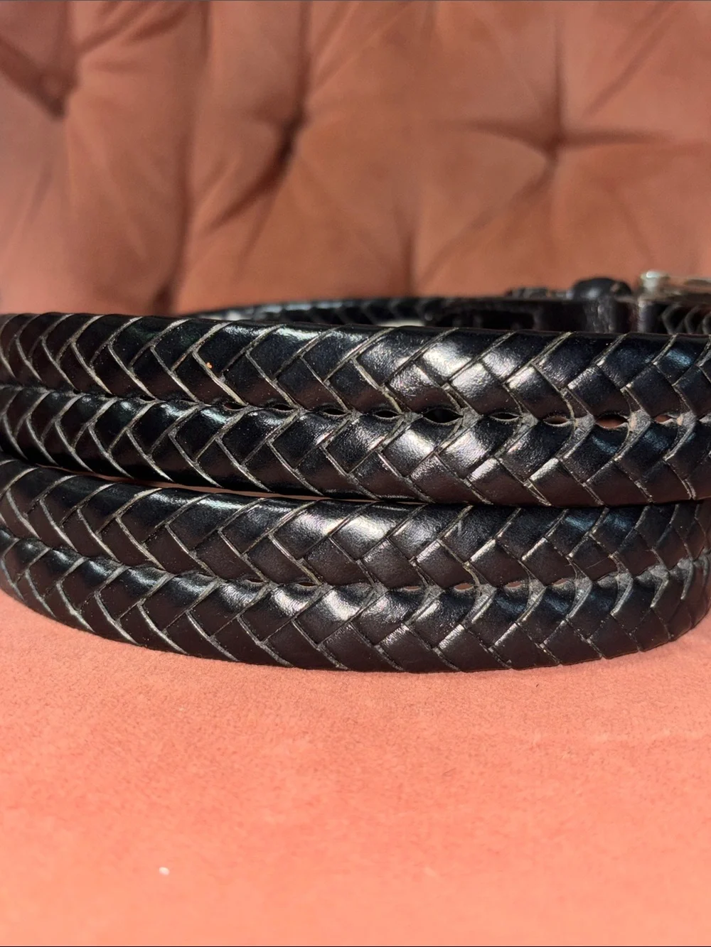 Fossil belt stainless